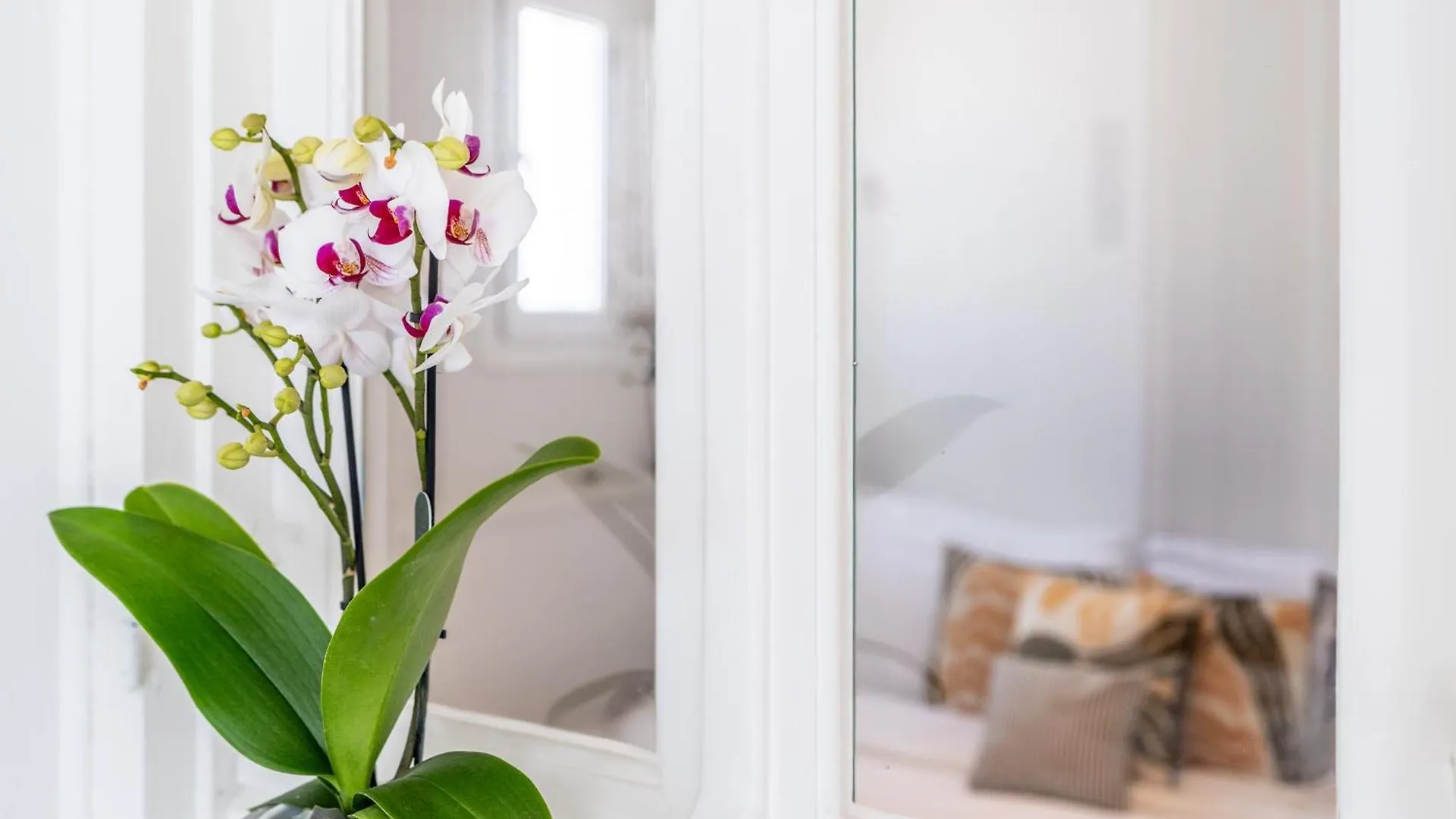 Town Pin By Monocle Apartment Mykonos Town 0*,  Greece